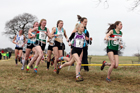 Junior womens 2018 Northern Cross Country Champs., Harewood House, Leeds. Photo: David T. Hewitson/Sports for All Pics